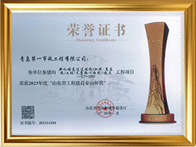 新机场二标-泰山杯奖