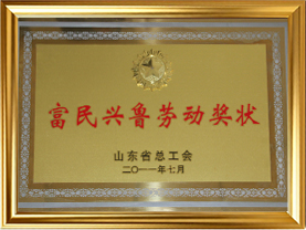 17山东省富民兴鲁劳动奖状（2011）