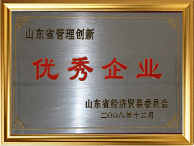 20山东省管理创新优秀企业（2008）