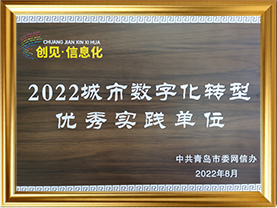 2022城市数字化转型优秀实践单位